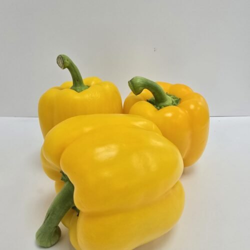Fresh Bell Peppers -1kg