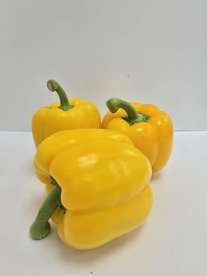 Fresh Bell Peppers -1kg
