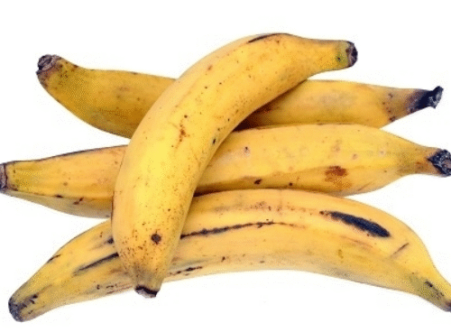 Plantain x 3