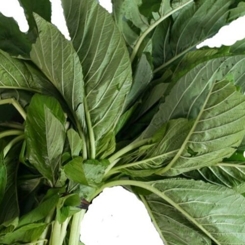 Fresh Tete (Green) x20