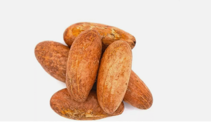 Bitter Kola