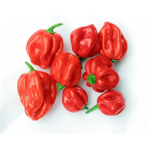 Scotch Bonnet - 1kg