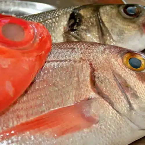 Redbream Whole Fish 1kg