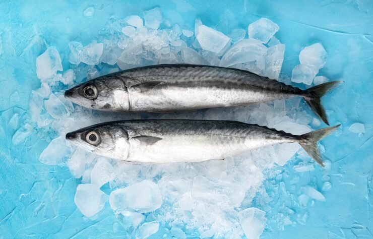 Frozen Mackerel Fish x3