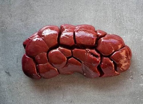 Cow Kidney 1kg