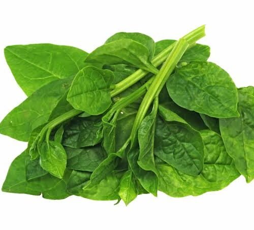 Fresh Water Leaf - per 500g