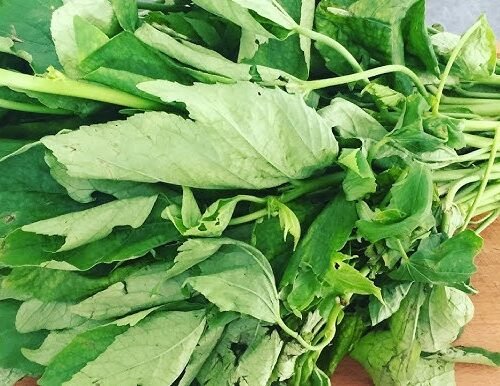 Fresh NgaiNgai Leaf - per bunch