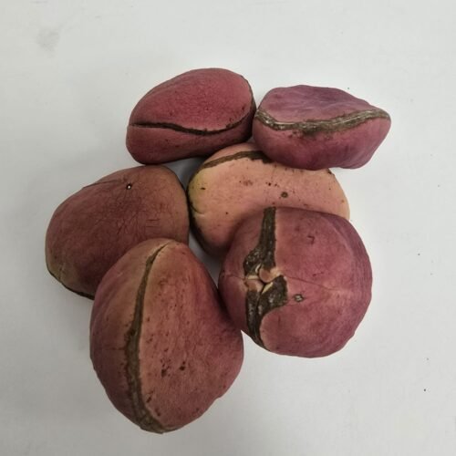 Kola Nut Abata - per 100g