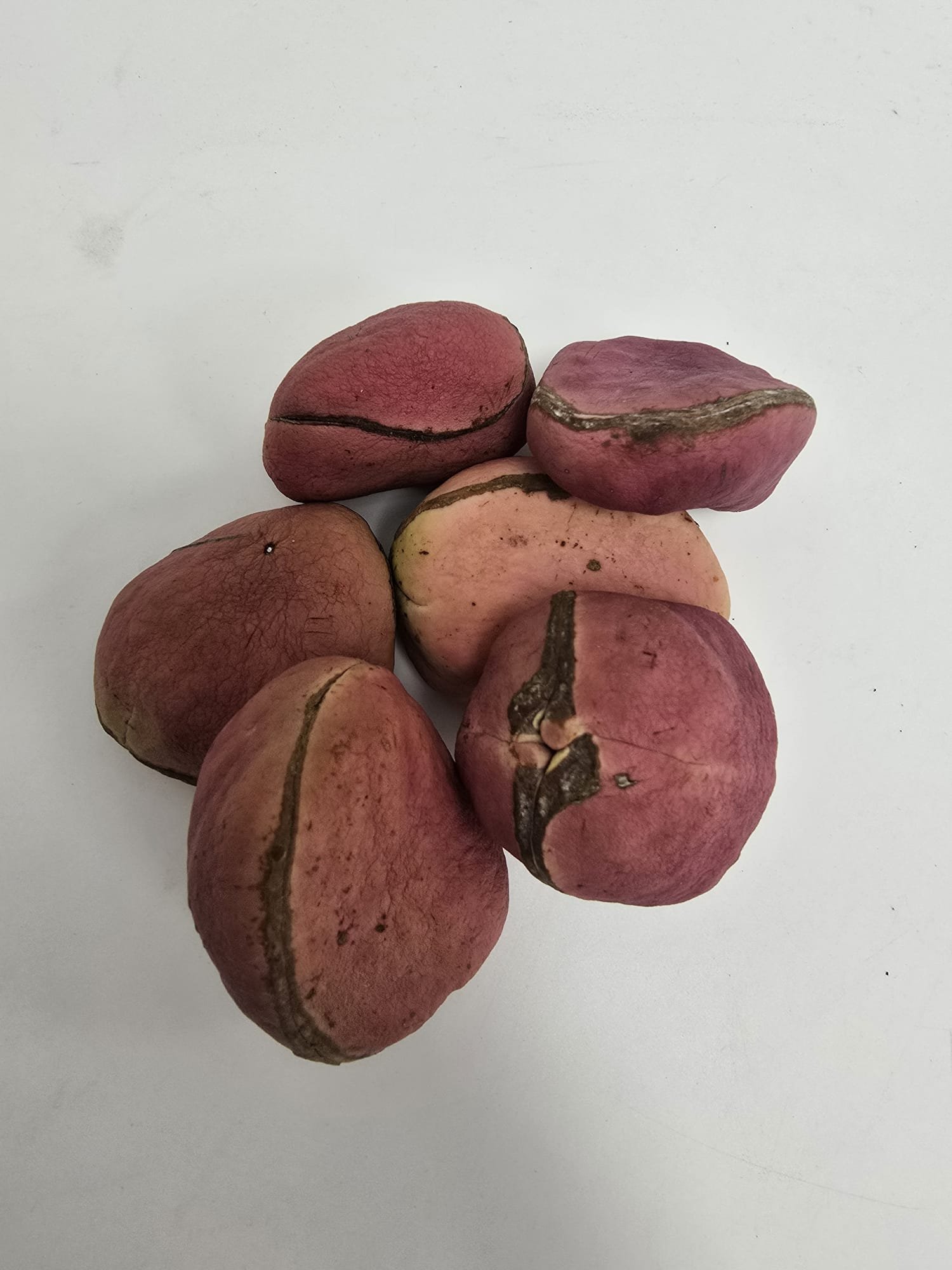 Kola Nut Abata - per 100g