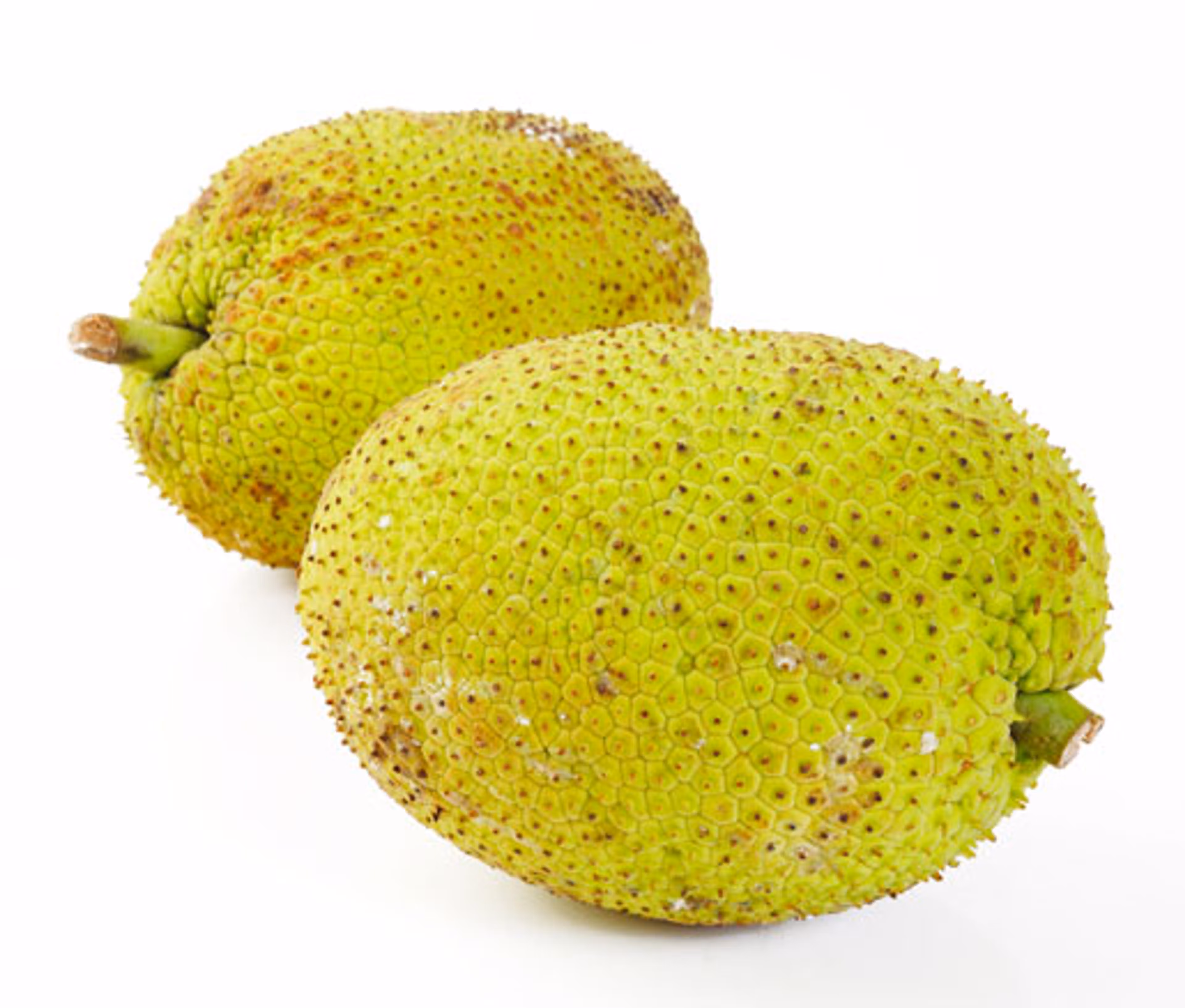 Fresh Ukwa (Breadfruit) - per kg