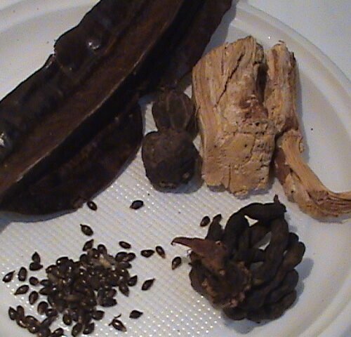 Banga Spice (fresh) - per 100g