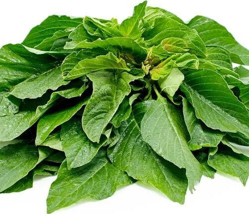 Green Dragon Fresh Tete