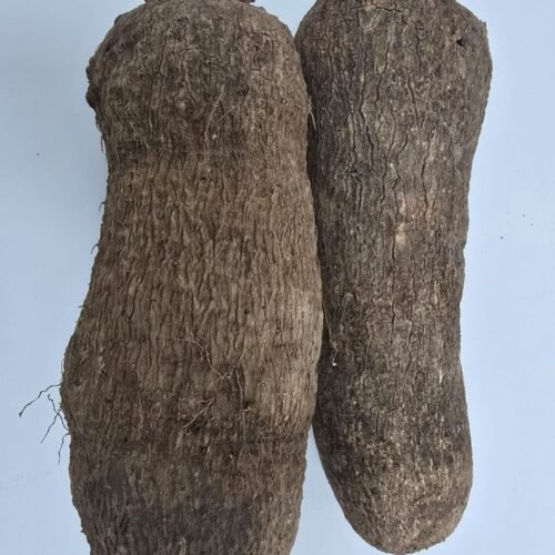 Premium Ghana Yam