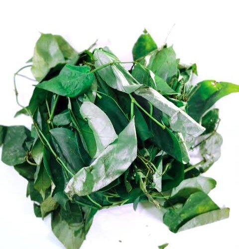 Awuf Fresh Utazi Leaves