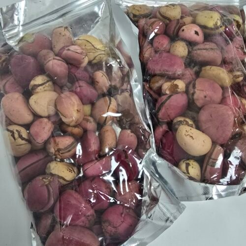 Kolanuts- Premium Hand-Picked Oji