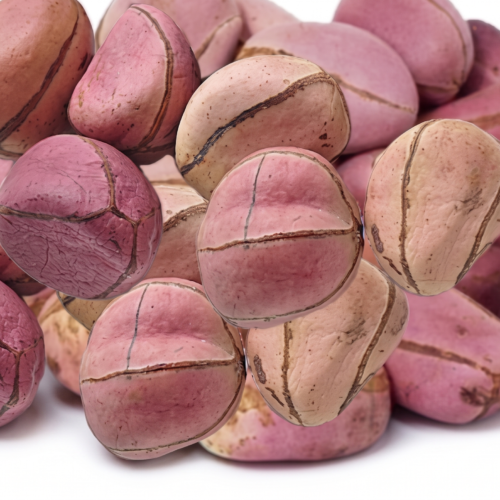 Kola Nut Abata - per 100g