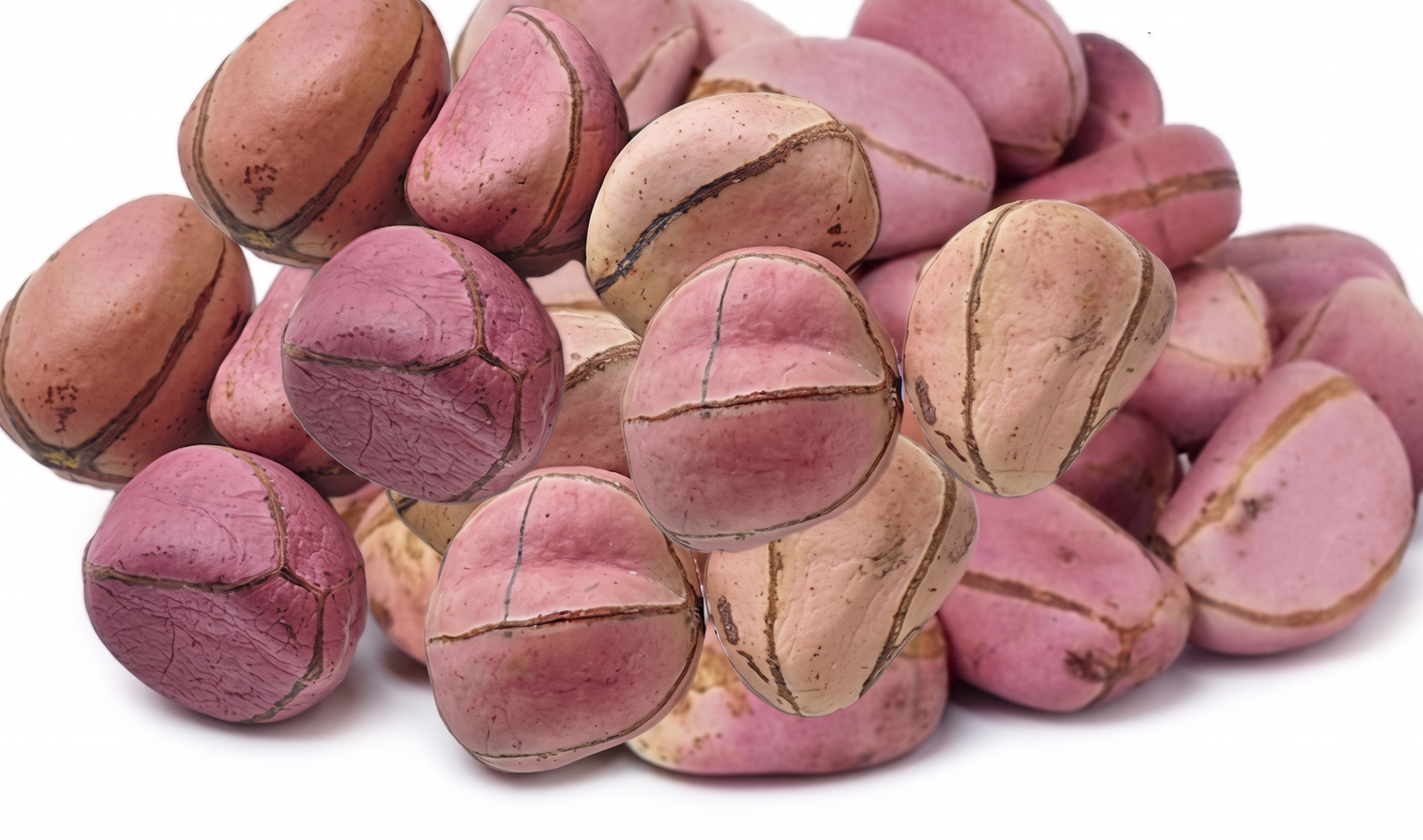 Kola Nut Abata - per 100g