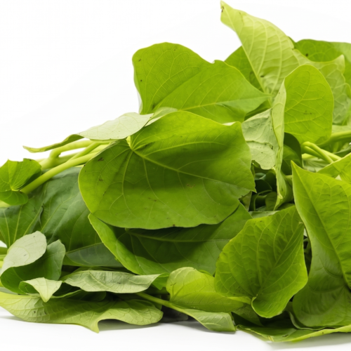 Fresh NgaiNgai Leaf - per bunch