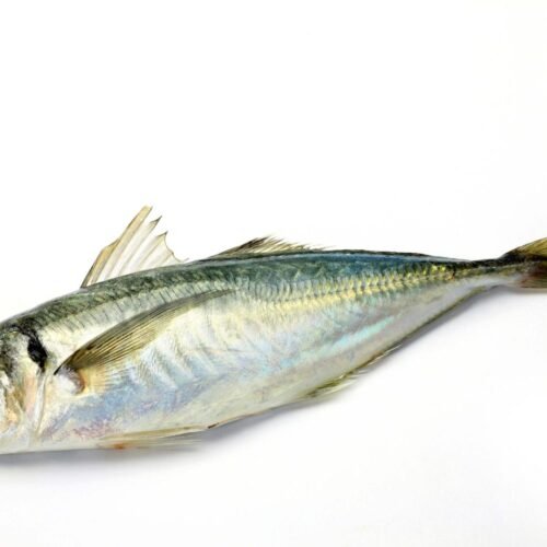 Horse Mackerel 1kg