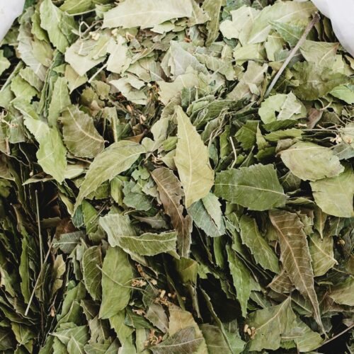 Delex Dried Bitterleaf 100g