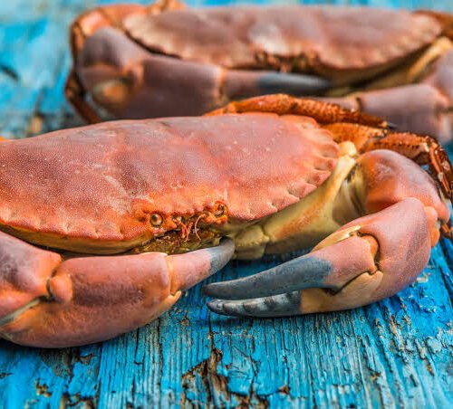 Whole Crab (each)