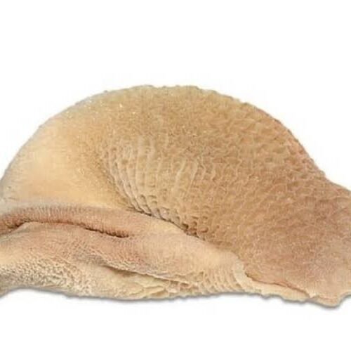 Frozen Goat Tripe 1kg