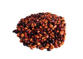 Fresh Palm Fruit - per kg