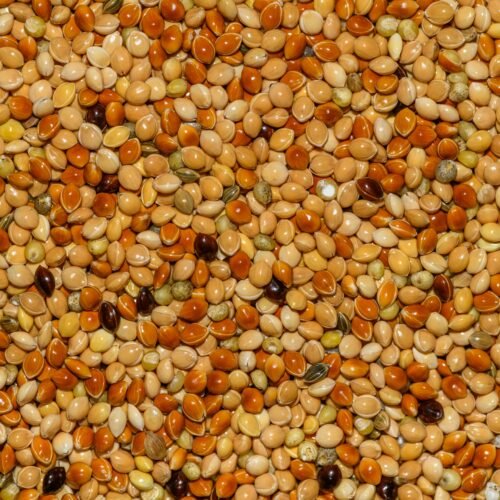 Millet 500g