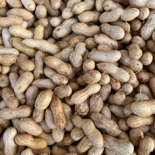 Monkey Nut - per kg