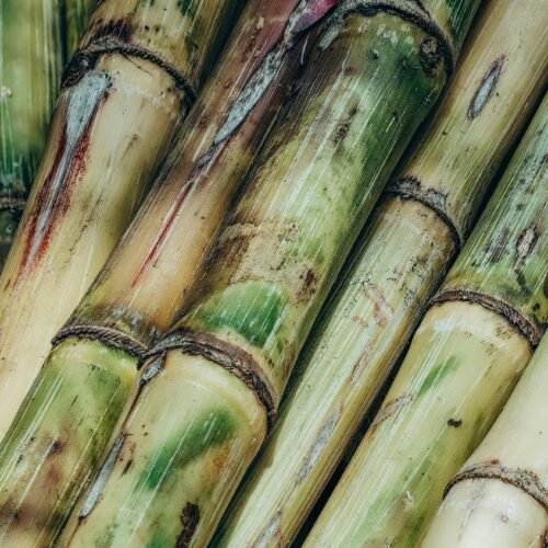 Sugar Cane - per piece