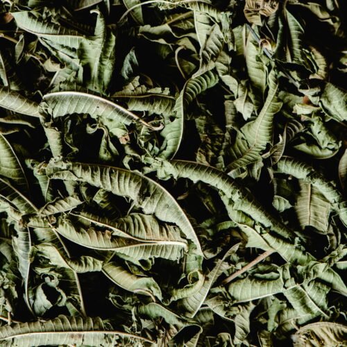 Delex Dried Ugu Leaves 50g