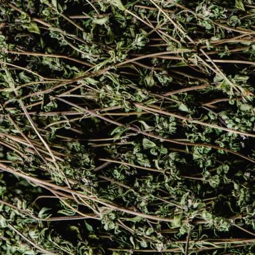 Gino Thyme Seasoning 40g