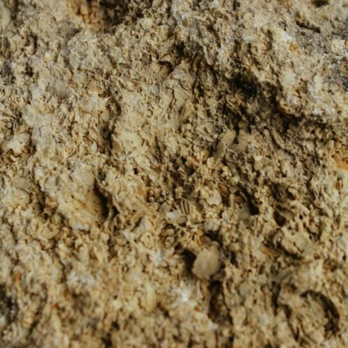 Akanu / Limestone - 100g