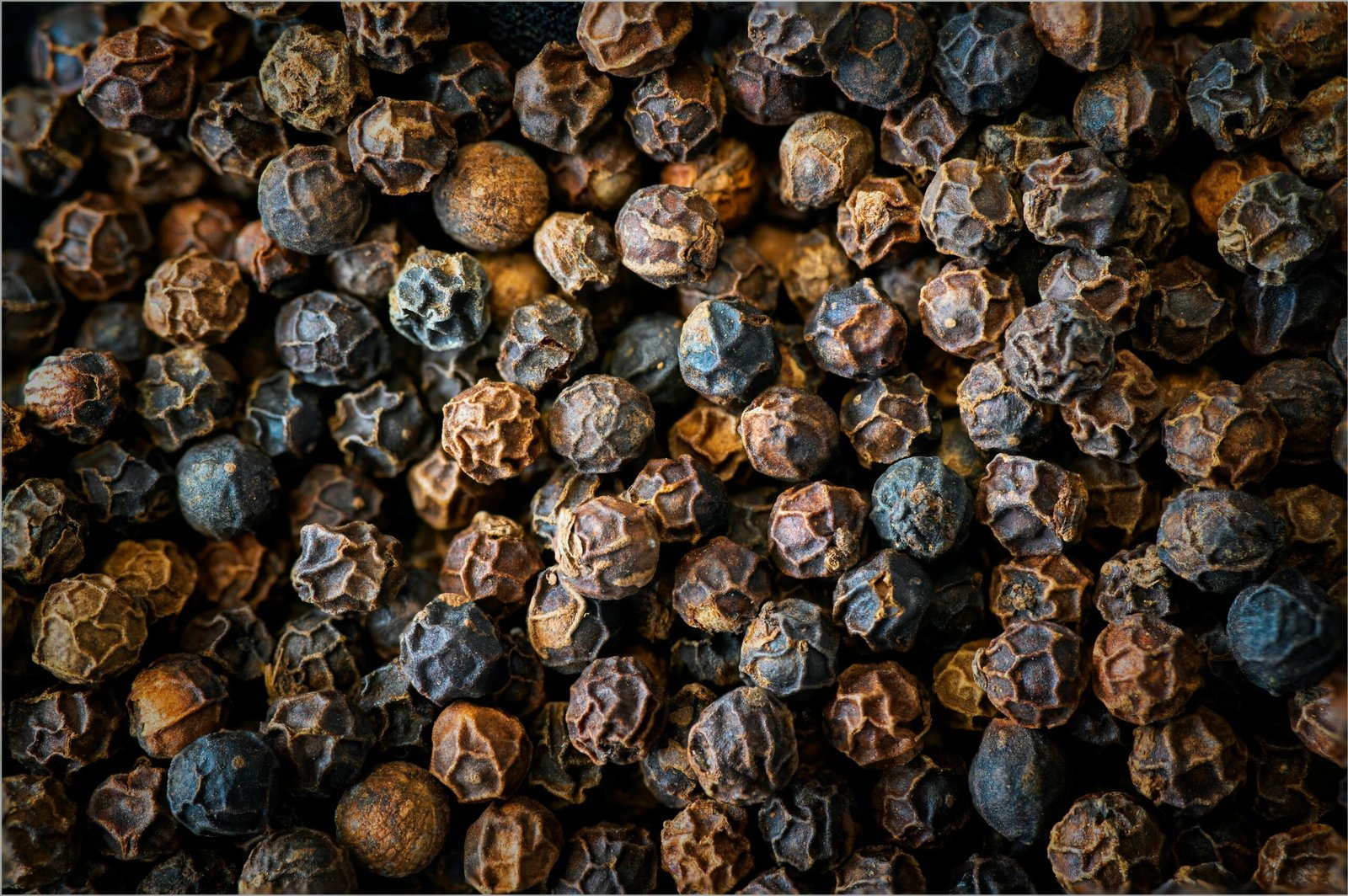 Black Peppercorn